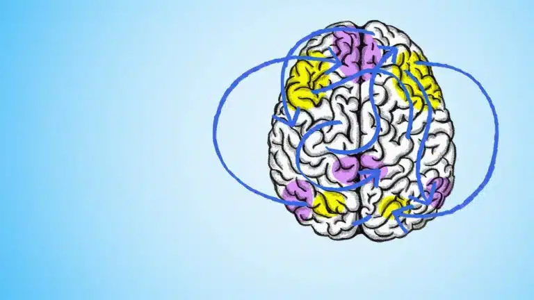 Le Cerveau en Bref, illustration d'un cerveau en pleine stimulation